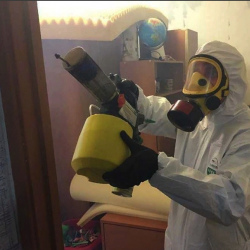 Уничтожение клопов в квартире. Асбест